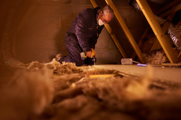 Best Insulation Air Sealing  in Shenandoah Farms, VA